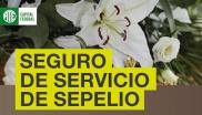 Sepelio